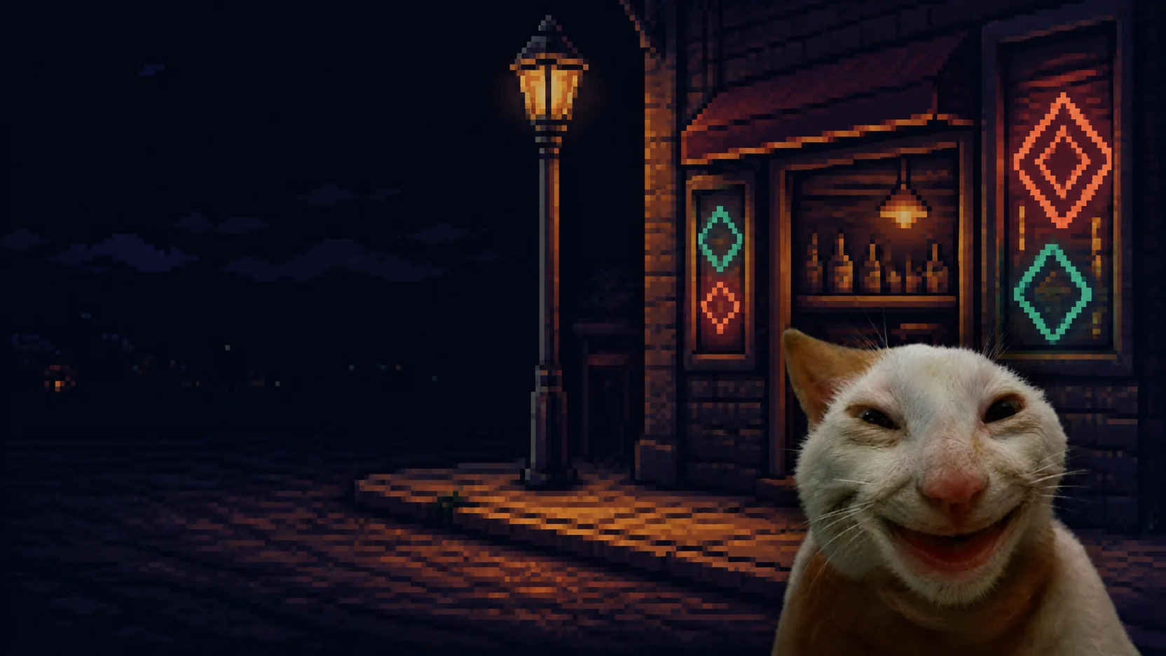 Toothless cat outside a bar at night
